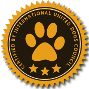 在线轰炸机网页版